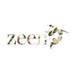 Zeen